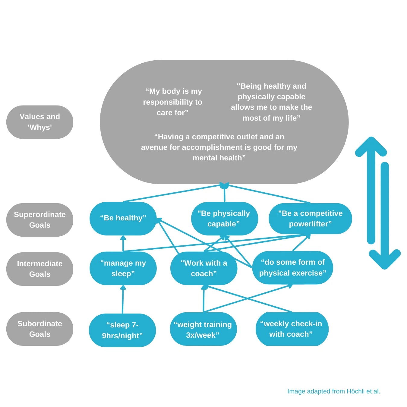 An example Goal Hierarchy with linked values, broader goals, intermediate goals and practical daily actions